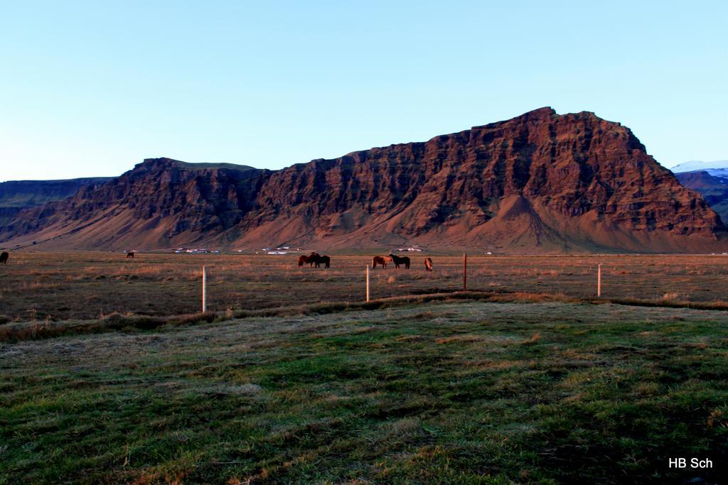 South Iceland Guesthouse Steinar Exterior photo